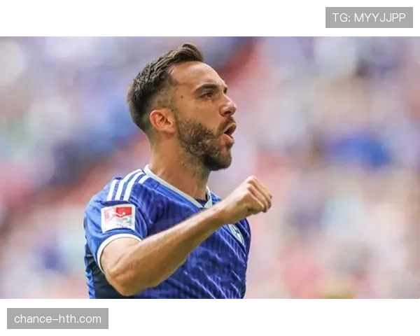 沙尔克04新赛季前景分析：整体实力成联赛表现关键