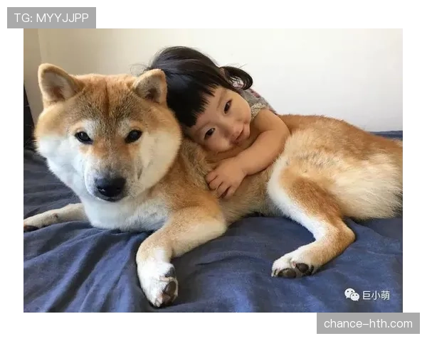 杨千霖家的狗都比你我活得精致